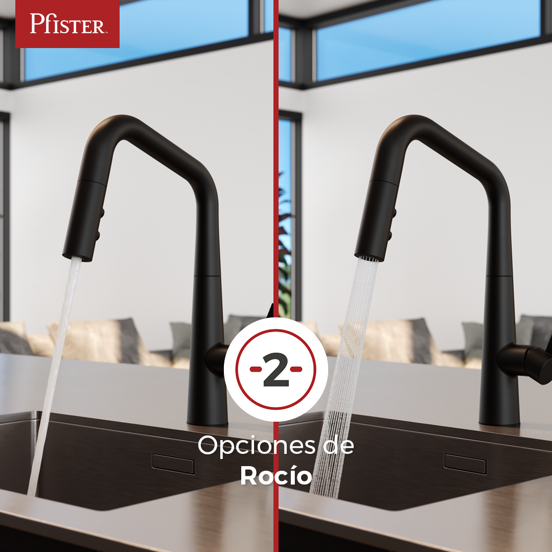 Grifería de Cocina Asari con Cabezal Extraíble en Negro y Oro