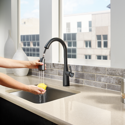 Grifería de Cocina Raya con Cabezal Extraíble en Negro Mate